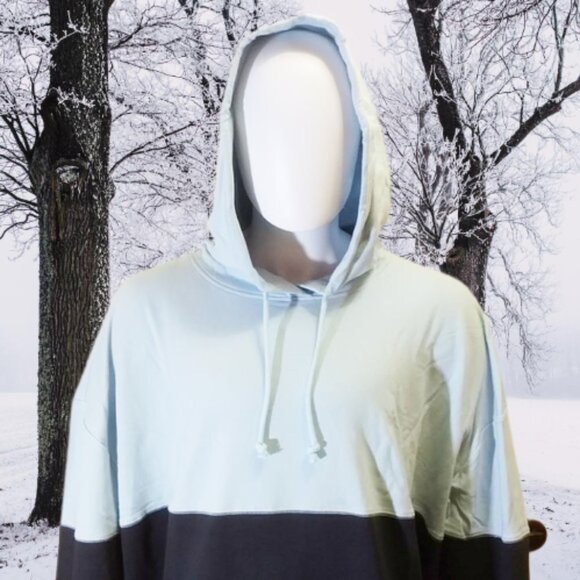 NWT Adult Colorblock Regular Fit Hooded Sweatshirt - Soft Sky [120/126/150] - Picture 2 of 7